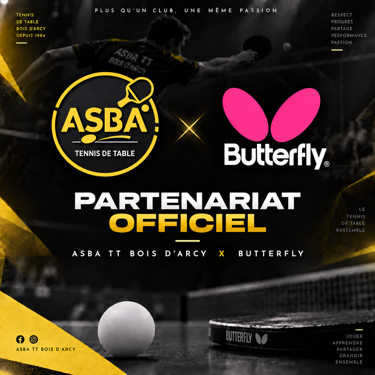 Nouveau Partenaire - Butterfly