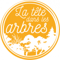 La tête dans les arbres
